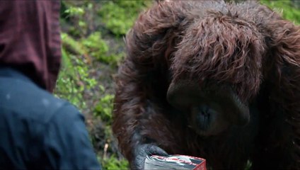 La Planète des singes : l&#039;affrontement - EXTRAIT VF "Le livre"