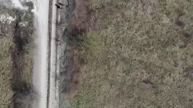 Rus güçlerinin Harkiv bölgesinde ilerleyişi sürüyor