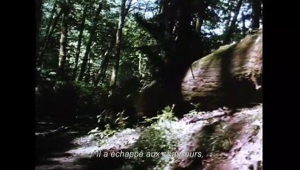 Bigfoot et les Henderson Bande-annonce VO