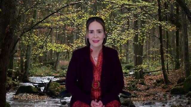 Coastal Elites saison 1 Bande-annonce VO