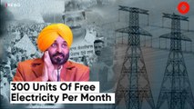 Has Bhagwant Mann delivered on his first poll promise?