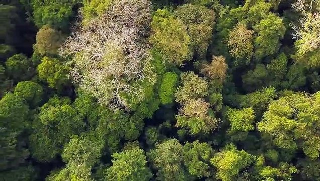 COSTA RICA, En quête d’un Eden Bande-annonce VF