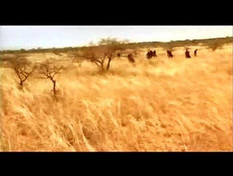 Massai, les guerriers de la pluie Extrait vidéo (2) VO