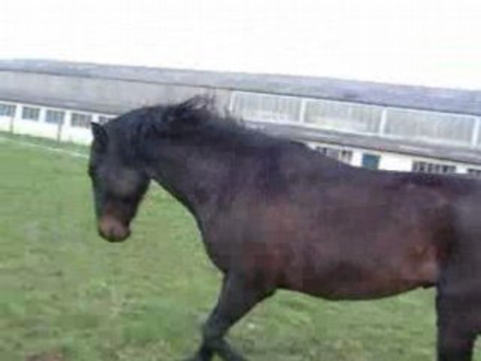 Travail en liberté 2