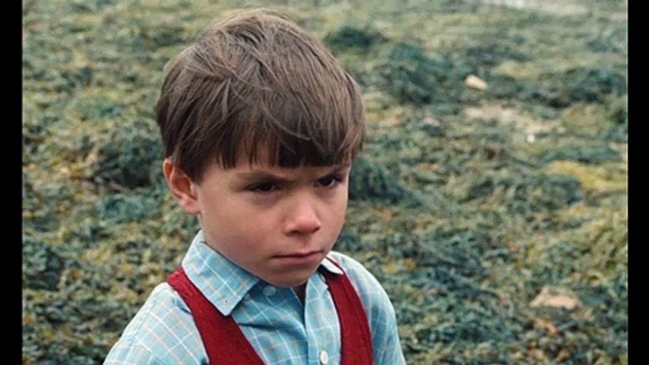 Mon Oncle d'Amérique Bande-annonce VF