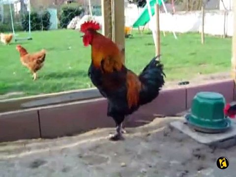 La Minute du jeudi 16 octobre 2008