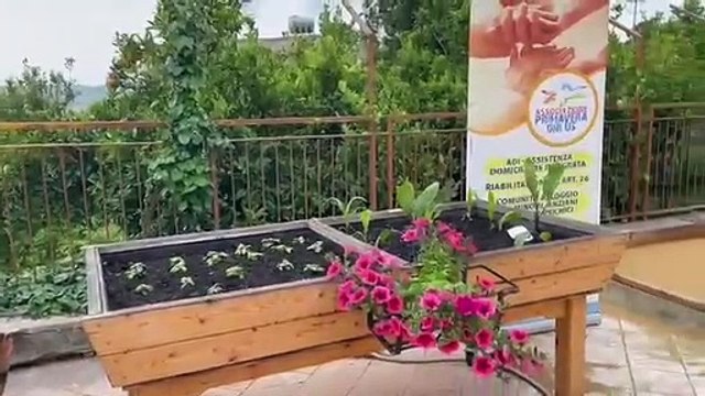 Raccolta differenziata con gli asinelli nel centro storico di Bivona