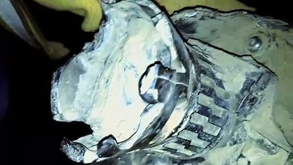 Echo - EXTRAIT VF "Nos portables ont buggé"