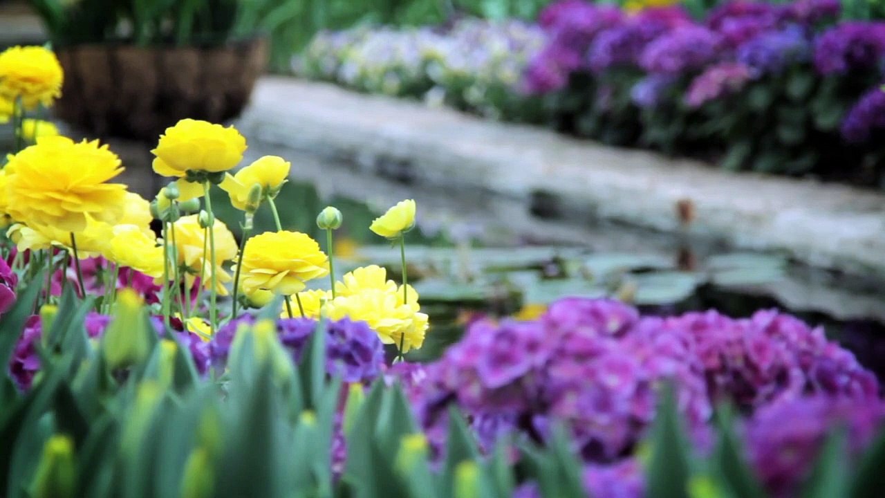First Day of Spring