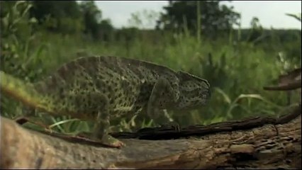 La citadelle assiégée Extrait vidéo (2) VF