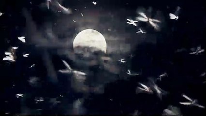 La citadelle assiégée Extrait vidéo VF