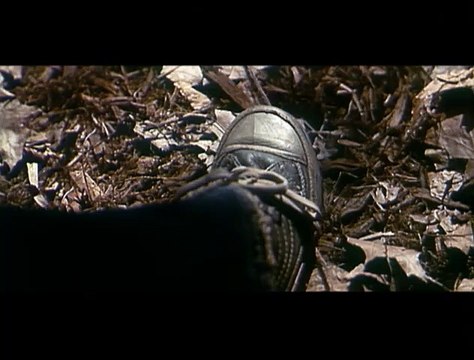 Les Chroniques de Spiderwick Extrait vidéo (2) VF