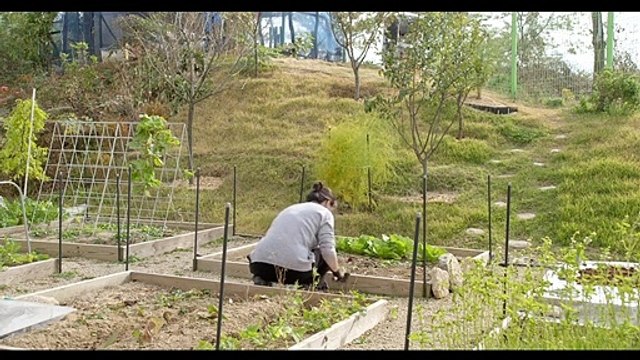 La Femme qui s’est enfuie Bande-annonce VO