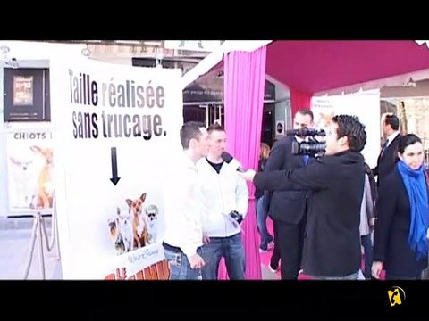 La Minute du lundi 16 mars 2009