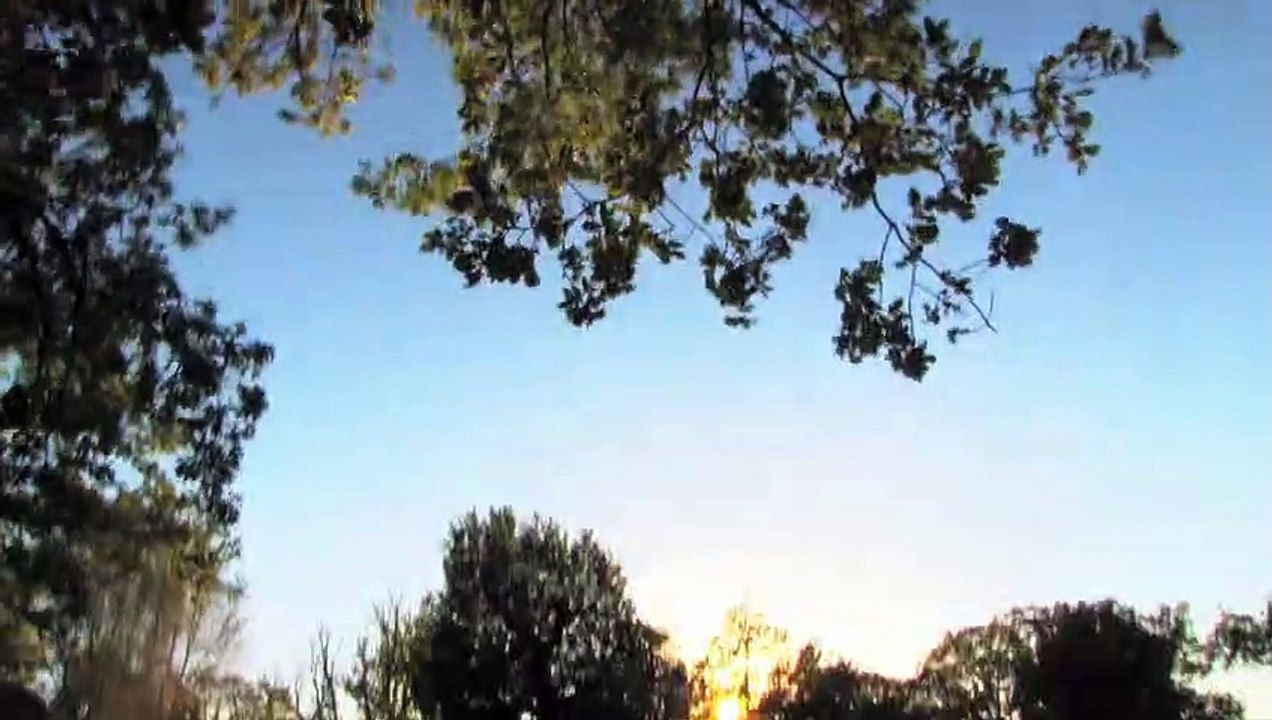 L'Académie des muses Bande-annonce VO