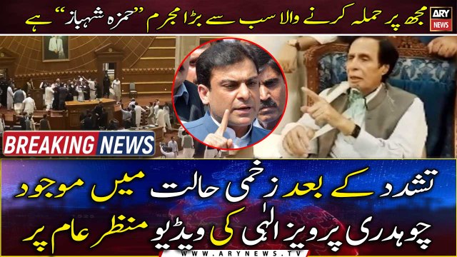 The Biggest Culprit who attacked me is Hamza Shehbaz , Chaudhry Pervaiz Elahi