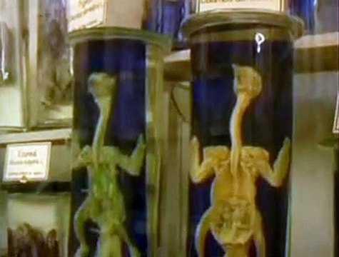 Garçon stupide Extrait vidéo VF