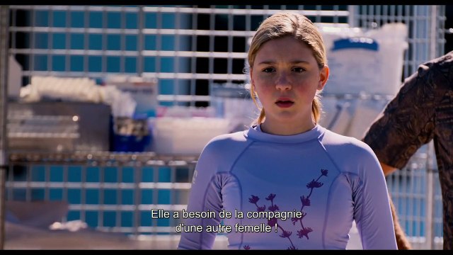 L'Incroyable Histoire de Winter le dauphin 2 Bande-annonce VOST