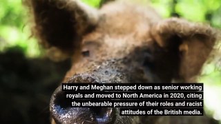 Prince Harry Meghan make surprise visit to Queen Elizabeth II at Windsor