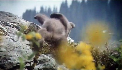 L&#039;ours Bande-annonce VF