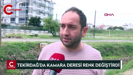 Tekirdağ'da Kamara Deresi renk değiştirdi
