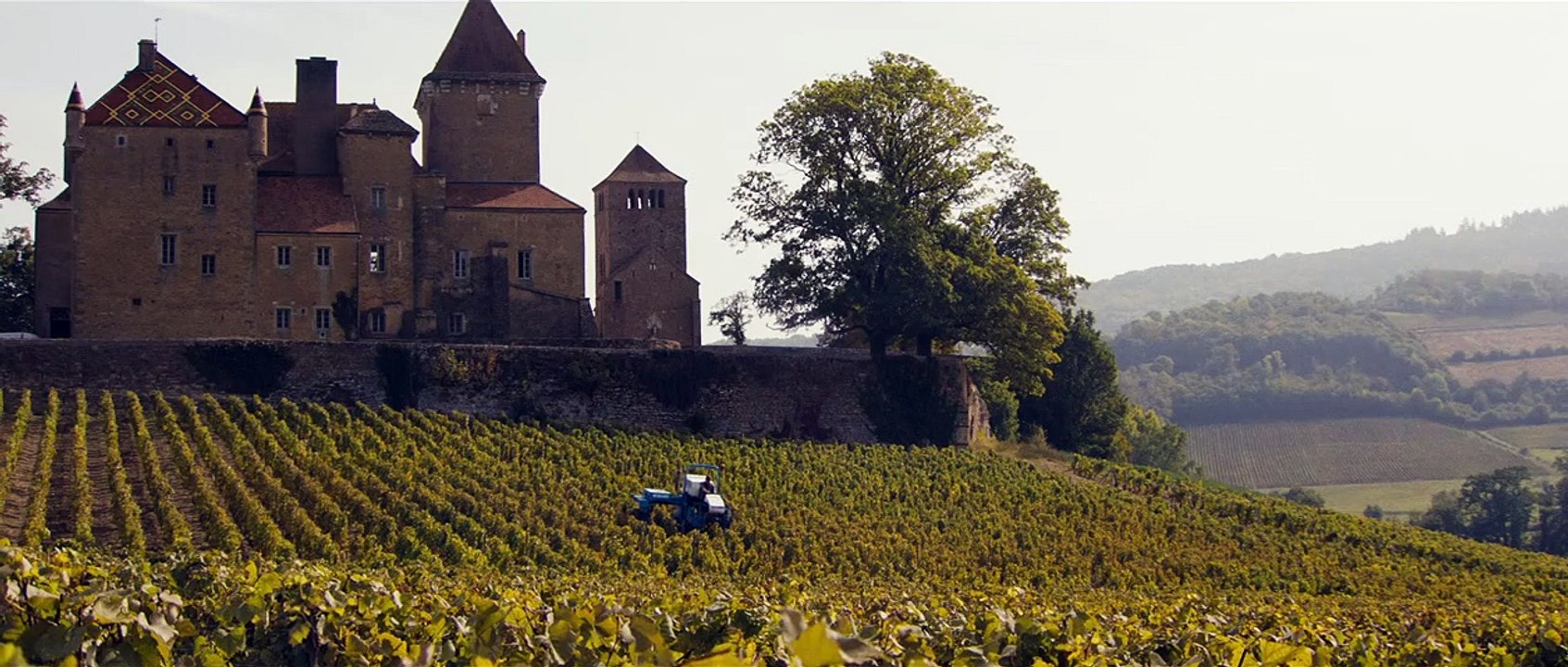 Premiers crus Bande-annonce VF