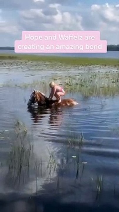 Actually looks fun...