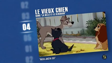 Les 5 Meilleurs César 🎬