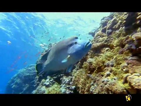 La Minute du mercredi 26 août 2009