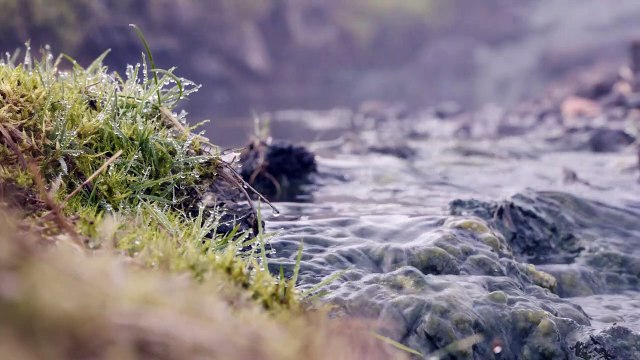 ISLANDE, Territoire Viking Bande-annonce VF