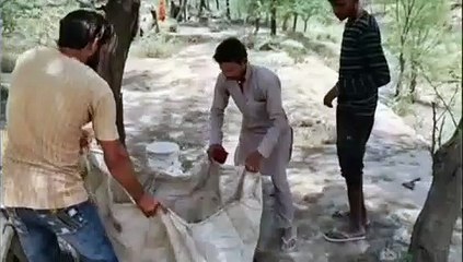 turtleकछुए को चोट पहुंचाना व मछली पकडऩा युवकों पर पड़ा भारी