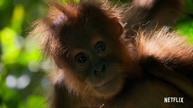 Notre planète - saison 1 Teaser VF