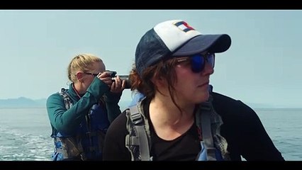 Sous la surface Bande-annonce VO