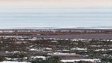 Unexploded bomb found by metal detectorist on Goring Beach