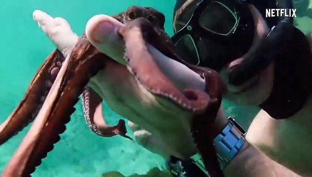 La sagesse de la pieuvre Bande-annonce VO