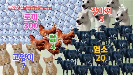 키우는 동물만 336마리, 무시무시한 사료비가 부담스러운 아내(ㅠ_ㅠ)