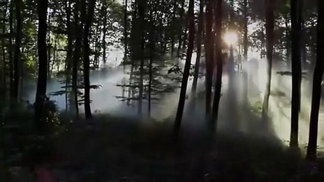 La Fantastique histoire de Blanche-Neige Bande-annonce VO