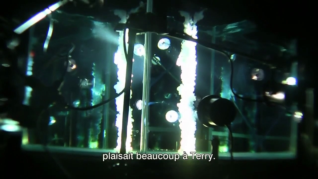 Voyage of Time : Au fil de la vie BONUS VO "Les effets visuels"