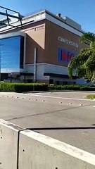 Jacarés-de-papo-amarelo são visto próximo de shopping em Florianópolis