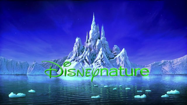 Chimpanzés Bande-annonce (2) VF