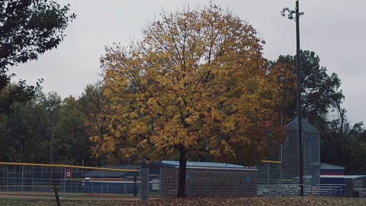 Killer Inside Bande-annonce VF