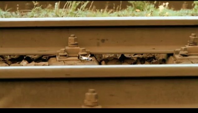 Un conte d'été polonais Bande-annonce VO