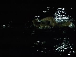 Solitaire Extrait vidéo (4) VO