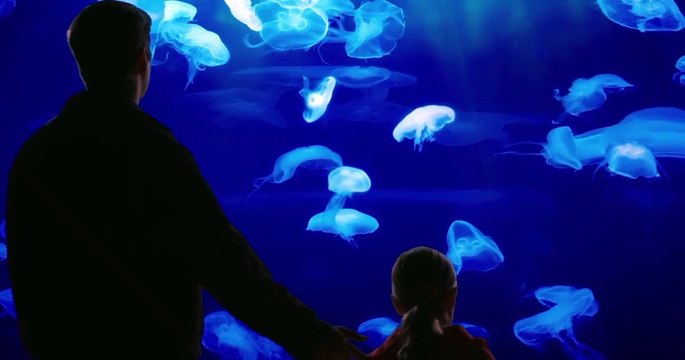 Le Journal d'un vieil homme Bande-annonce VF