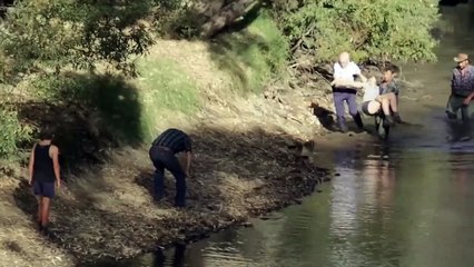 The Dry Bande-annonce (2) VO