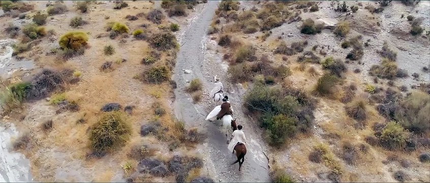 The Bounty Killer Bande-annonce VO