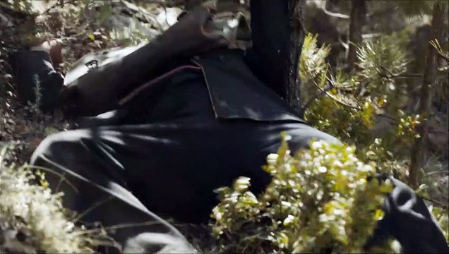 L'Incroyable histoire du Facteur Cheval Bande-annonce VF