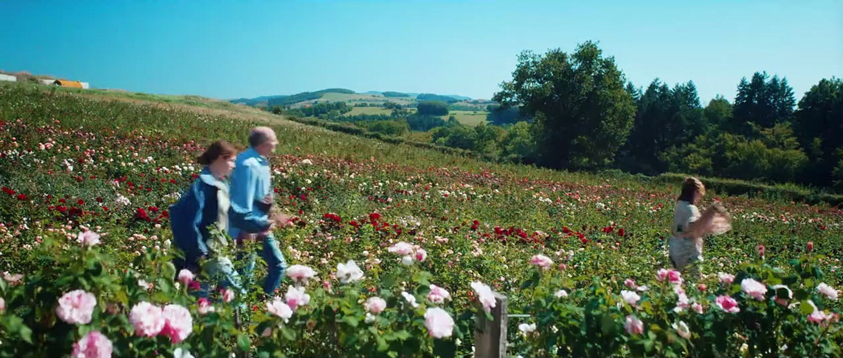 La Fine fleur Bande-annonce VF