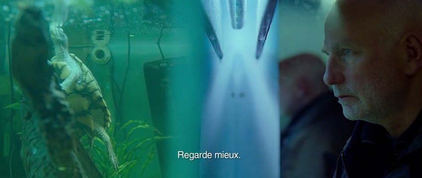 Catch Me Daddy Bande-annonce VO