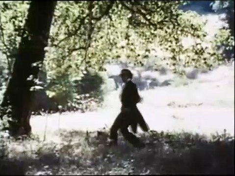 Woody et les robots Bande-annonce VO